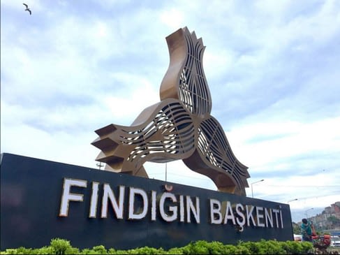 Fındığın Başkenti